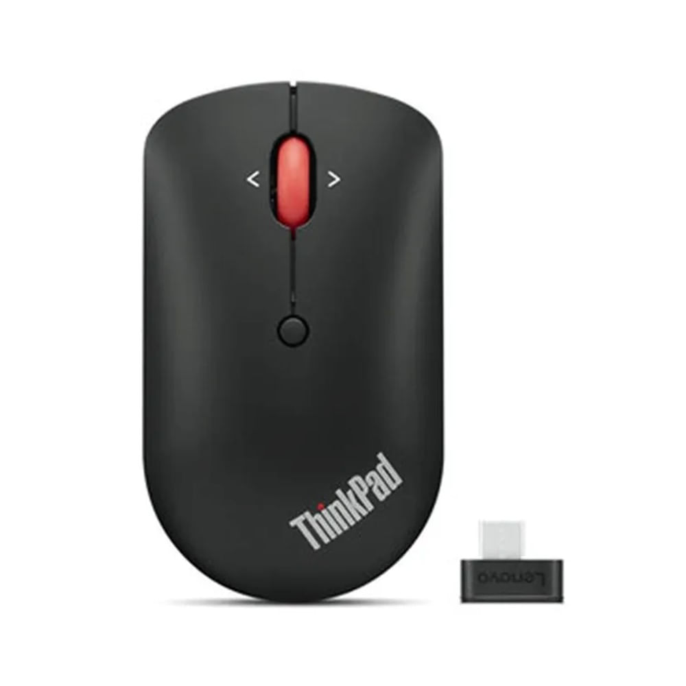 [4Y51D20849] Mouse